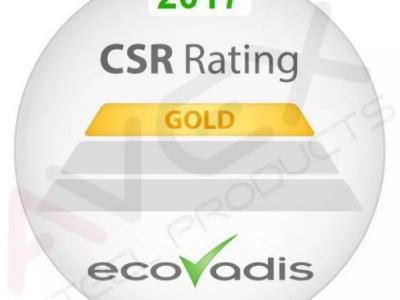 CSR 2017